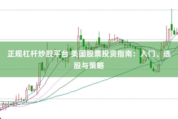 正规杠杆炒股平台 美国股票投资指南：入门、选股与策略