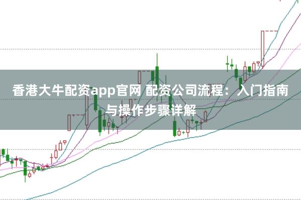香港大牛配资app官网 配资公司流程：入门指南与操作步骤详解