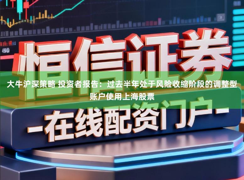 大牛沪深策略 投资者报告：过去半年处于风险收缩阶段的调整型账户使用上海股票